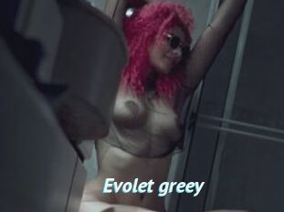 Evolet_greey