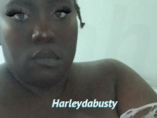 Harleydabusty