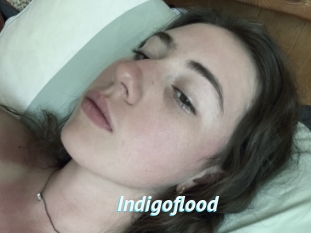 Indigoflood