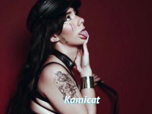 Kamicat