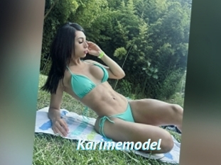 Karimemodel