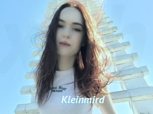 Kleinmird