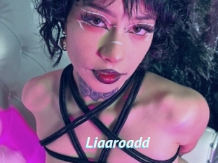 Liaaroadd