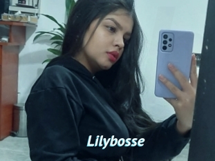 Lilybosse