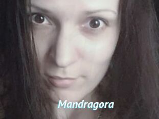 Mandragora