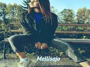 Mellisajo