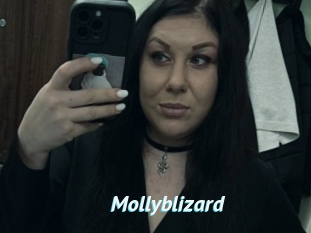 Mollyblizard