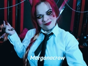 Morganacrow