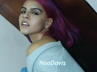 NoaDavis