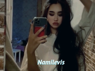 Namilevis