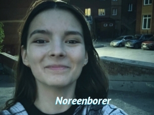 Noreenborer