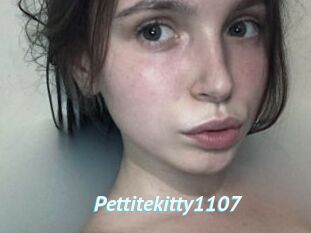 Pettitekitty1107