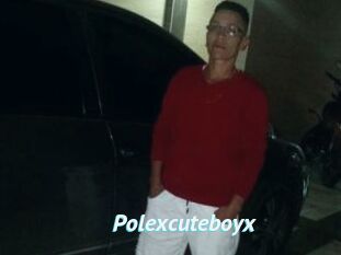 Polexcuteboyx