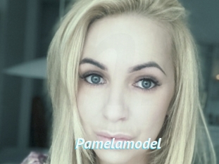 Pamelamodel