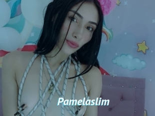 Pamelaslim