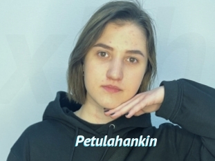 Petulahankin