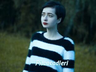 Pileacadieri