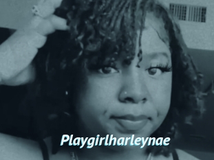 Playgirlharleynae