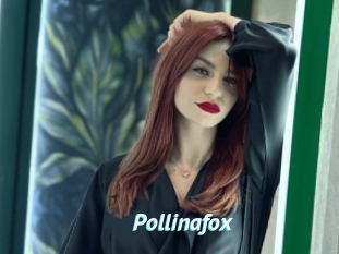 Pollinafox