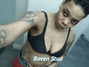 Raven_Stud