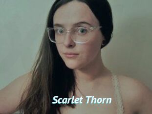 Scarlet_Thorn