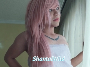 ShantalWild