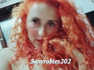 Sanyrobles202