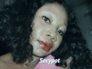 Secypot