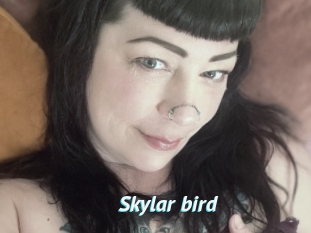 Skylar_bird