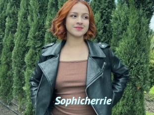 Sophicherrie