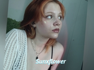 Sunxflower