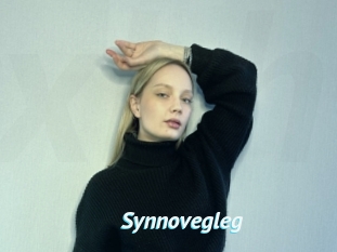 Synnovegleg