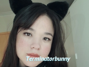 Terminatorbunny