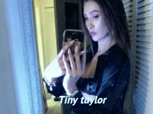 Tiny_taylor