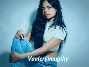 Vaalerynaugthy