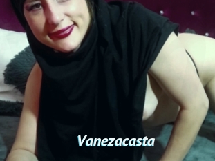 Vanezacasta