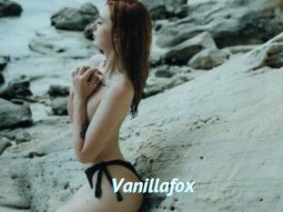 Vanillafox