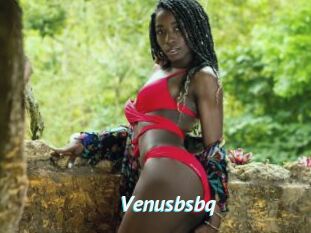 Venusbsbq