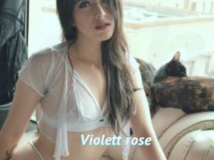 Violett_rose