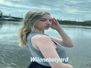 Wilonebolyard