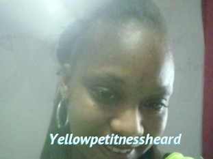 Yellowpetitnessheard