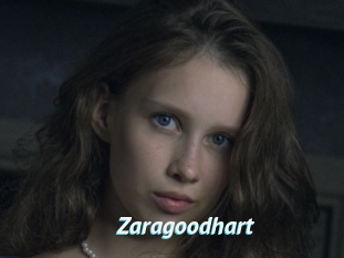 Zaragoodhart